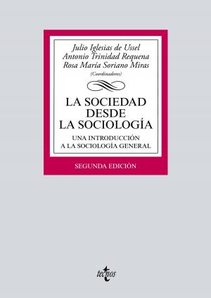 Cover of the book La sociedad desde la sociología by Antonio Martín Valverde, Fermín Rodríguez-Sañudo Gutiérrez, Joaquín García Murcia