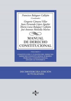Cover of the book Manual de Derecho Constitucional by Manuel Rivera Fernández, Manuel Espejo Lerdo de Tejada, Eduardo de la Iglesia Prados, César Hornero Méndez, Juan Pablo Murga Fernández