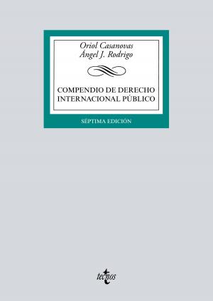 Cover of the book Compendio de Derecho Internacional Público by Jesús Sáez González