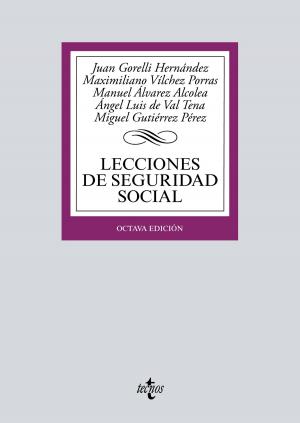 Cover of the book Lecciones de Seguridad Social by José Manuel Ruiz-Rico Ruiz, Yolanda de Lucchi López-Tapia