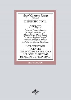 Cover of the book Derecho Civil by Enrique Álvarez Conde, Alfonso García-Moncó Martínez, Rosario Tur Ausina