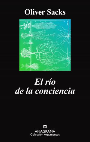 Cover of the book El río de la conciencia by Remedios Zafra