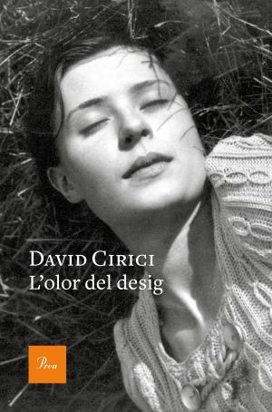 Cover of the book L'olor del desig by David Cirici