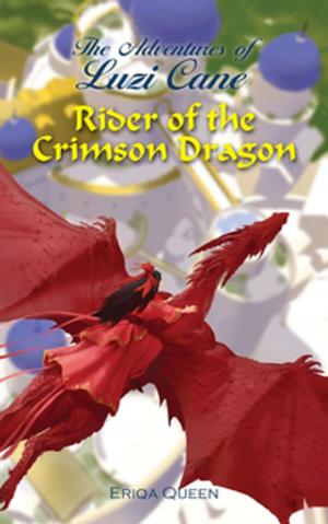 Cover of the book Rider of the Crimson Dragon by J.  B. Simms