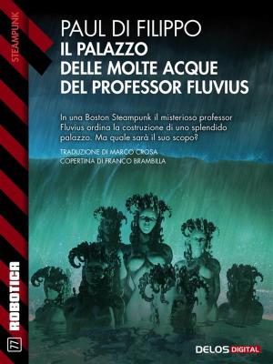 Cover of the book Il Palazzo delle Molte Acque del professor Fluvius by Hayden Chance