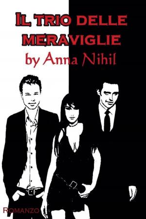 Book cover of Il trio delle meraviglie