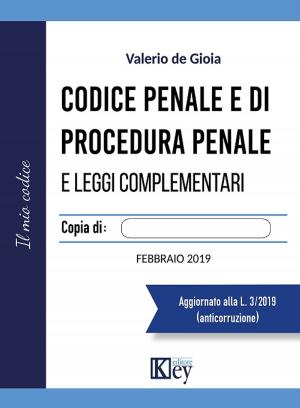 Cover of the book Codice Penale e di Procedura Penale e leggi complementari by Paolo Becchi, Giuseppe Palma