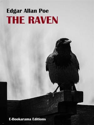 Cover of the book The Raven by Edward Phillips Oppenheim