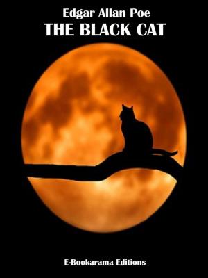 Cover of the book The Black Cat by Nathaniel Hawthorne