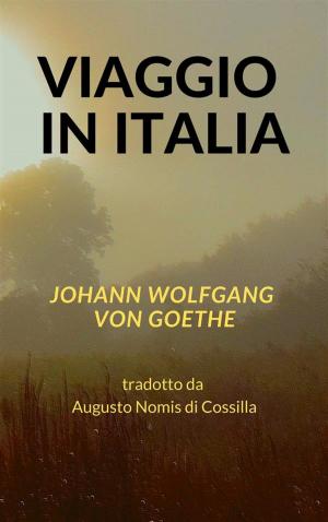 Book cover of Viaggio in Italia
