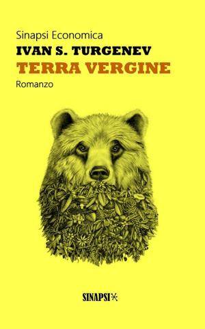 Book cover of Terra vergine