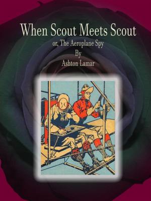 Cover of the book When Scout Meets Scout by Deborah Alcock
