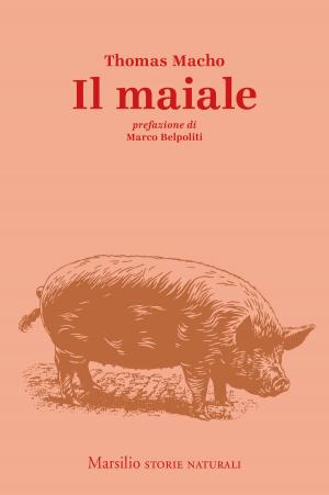 Book cover of Il maiale