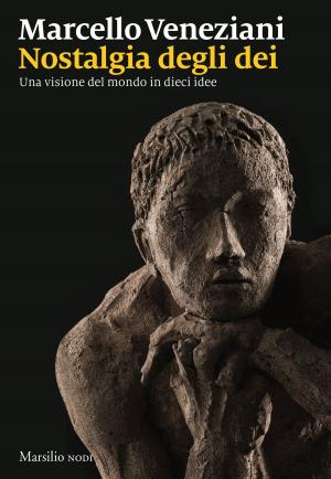 Book cover of Nostalgia degli dei