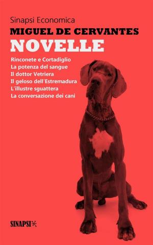 Cover of the book Novelle by Aristotele