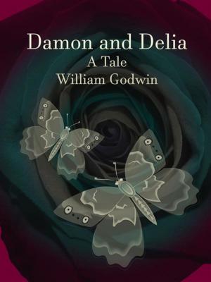 Book cover of Damon and Delia
