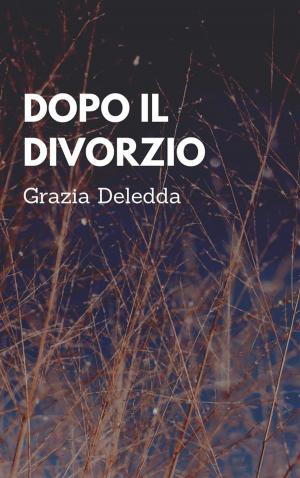Cover of the book Dopo il divorzio by Troim Kryzl