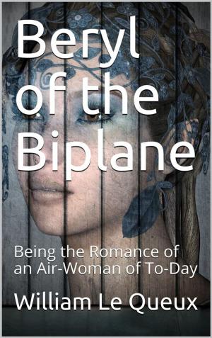 Cover of Beryl of the Biplane