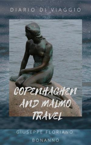 Book cover of Copenhagen travel