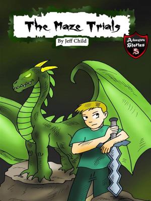 Cover of the book The Maze Trials by Rhianna Preston