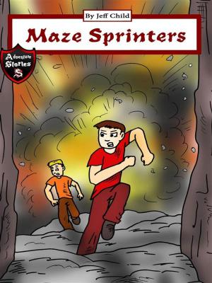 Book cover of Maze Sprinters