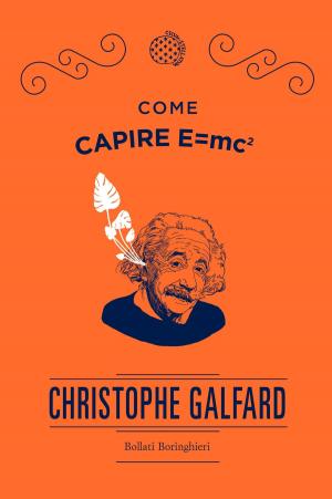 Cover of the book Come capire E=mc2 by Callie Wright