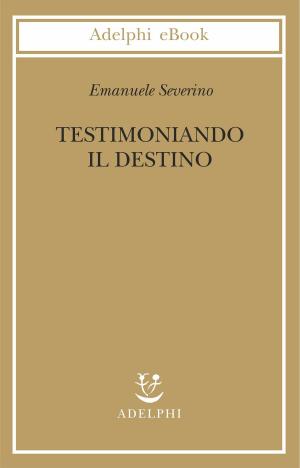 Cover of the book Testimoniando il destino by Franz Kafka