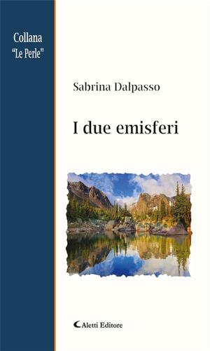 Cover of the book I due emisferi by Elisabetta Mattioli