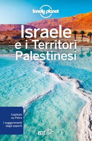 Book cover of Israele e i Territori Palestinesi