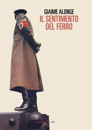 Cover of the book Il sentimento del ferro by Michele Carter