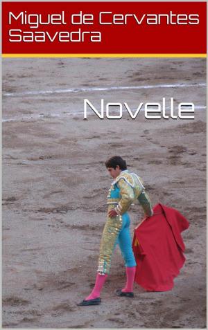 Book cover of Novelle
