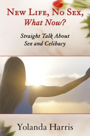 bigCover of the book New Life, No Sex, What Now? Straight Talk About Sex and Celibacy by 