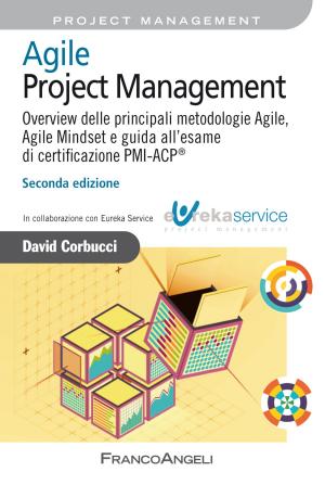 Cover of the book Agile Project Management by Isabella Schiappadori, Sandra Perobelli, Lucilla Rebecca
