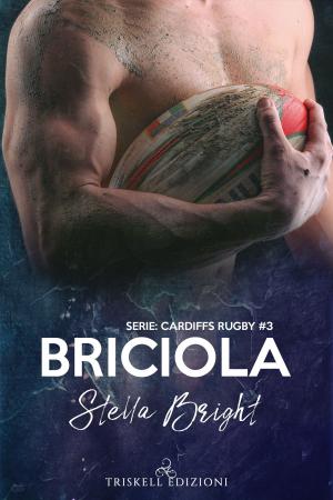 Cover of the book Briciola by Kaje Harper