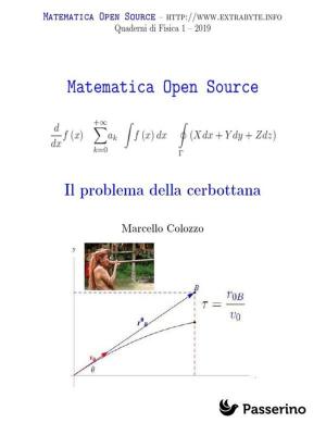 bigCover of the book Il problema della cerbottana by 