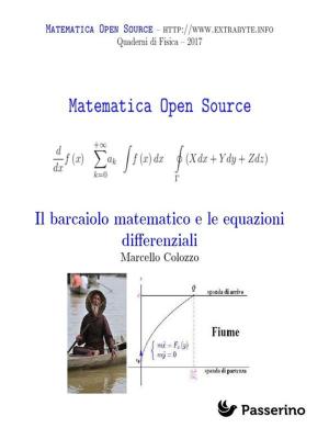 Cover of the book Il barcaiolo matematico e le equazioni differenziali by Antonio Ferraiuolo