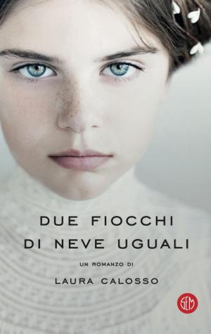 Cover of the book Due fiocchi di neve uguali by Maria Adolfsson