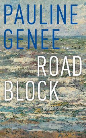 Cover of the book Roadblock by Edward van de Vendel