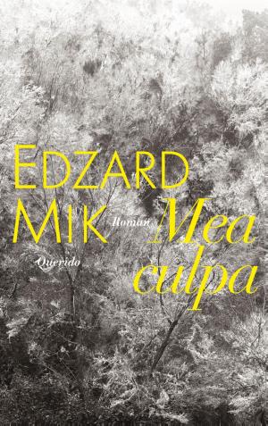 Cover of the book Mea culpa by Cornelia Funke