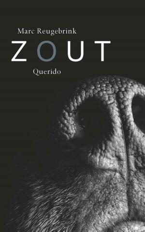 Cover of the book Zout by Rutger Pontzen
