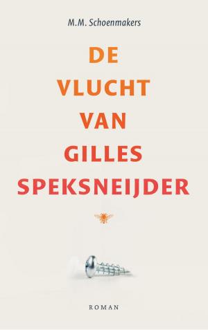 Cover of the book De vlucht van Gilles Speksneijder by Hella de Jonge