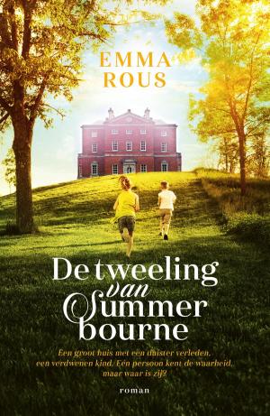 Cover of the book De tweeling van Summerbourne by Robert Jordan, Brandon Sanderson