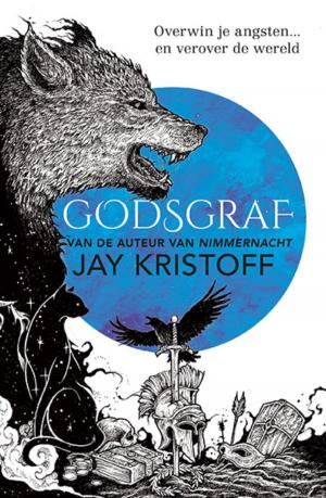 Cover of the book Godsgraf by Joshua Fields Millburn, Ryan Nicodemus