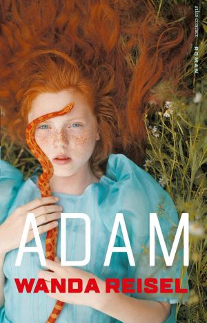 Cover of the book Adam by Mari Ruti