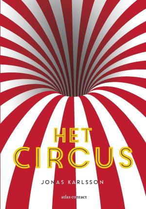 Cover of the book Het circus by Jan Brokken