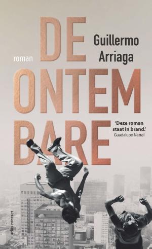 Cover of the book De ontembare by Jan-Willem van Beek, Rutger Huizenga