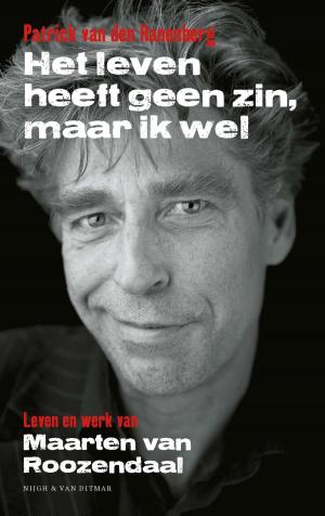 Cover of the book Het leven heeft geen zin, maar ik wel by Benjamin Black