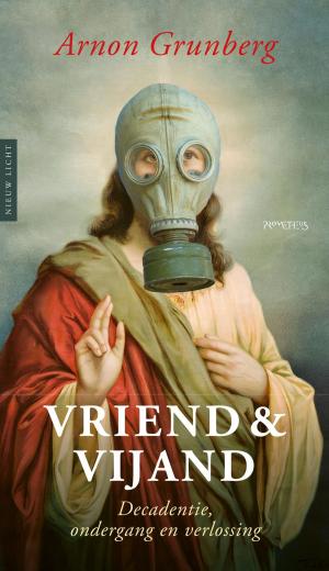 Cover of the book Vriend & vijand by Anne Mette Hancock