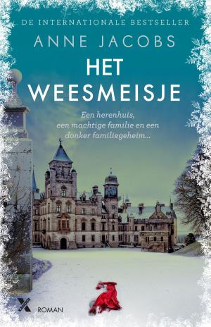 Cover of the book Het weesmeisje by Pierre Lemaitre