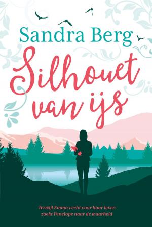 Cover of the book Silhouet van ijs by A. E.  Easterlin